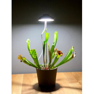 LED 7W Pflanzenleuchte Pflanzenlampe Pflanzenbeleuchtung 70cm Teleskopstab Grau