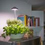 LED 7W Pflanzenleuchte Pflanzenlampe Pflanzenbeleuchtung 70cm Teleskopstab Grau