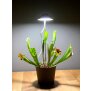 LED 7W Pflanzenleuchte Pflanzenlampe Pflanzenbeleuchtung 70cm Teleskopstab Grau