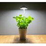 Northpoint LED 7W Pflanzenleuchte Pflanzenlampe Pflanzenbeleuchtung 70cm Teleskopstab Grau
