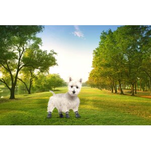NorthPET Pfotenschutz für Hunde Hundeschuhe 4er Set mit Aufbewahrungsbeutel
