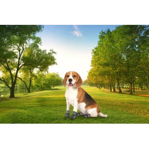 NorthPET Pfotenschutz für Hunde Hundeschuhe 4er Set mit Aufbewahrungsbeutel
