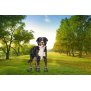 NorthPET Pfotenschutz für Hunde Hundeschuhe 4er Set mit Aufbewahrungsbeutel Wasserdicht und rutschfeste mit Reflektorstreifen Größe XL