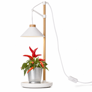 LED Pflanzenleuchte Kräutergarten aus Echtholz 9W...