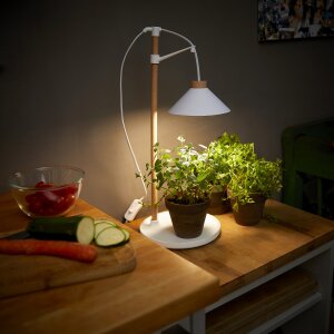 LED Pflanzenleuchte Kräutergarten aus Echtholz 9W 550 Lumen Höhenverstellbar Timer