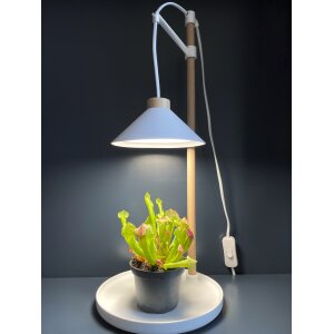 LED Pflanzenleuchte Kräutergarten aus Echtholz 9W 550 Lumen Höhenverstellbar Timer
