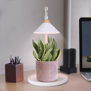 LED Pflanzenleuchte Kräutergarten aus Echtholz 9W 550 Lumen Höhenverstellbar Timer