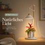 LED Pflanzenleuchte Kräutergarten aus Echtholz 9W 550 Lumen Höhenverstellbar Timer