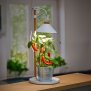 LED Pflanzenleuchte Kräutergarten aus Echtholz 9W 550 Lumen Höhenverstellbar Timer