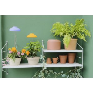 Northpoint LED Pflanzenleuchte Pflanzenlicht mit Teleskopstab Gelb