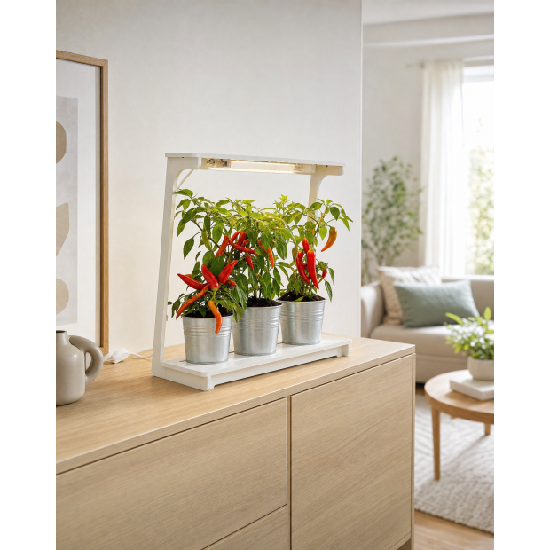 Northpoint LED Pflanzenleuchte 14W Vollspektrum 4000K mit 16h Timer - Stecksystem Wachstumsleuchte