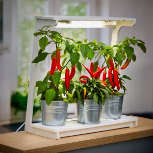 LED Pflanzenlampe Pflanzenleuchte Innengarten Wachstumsgarten Wachstumsleuchte 14W - Viereck-Form