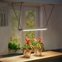 Northpoint LED Pflanzenlampe mit Metall-Gestell Pflanzenleuchte Innengarten Wachstumsleuchte 14W 16h Timer