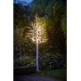 B-Ware Northpoint LED Lichtbaum Baum Weihnachtsdeko Indoor & Outdoor | Birkenoptik | 180cm | 200 warmweiße LEDs | inkl. Timer