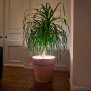 LED Pflanzenlampe Pflanzenbeleuchtung LED Schlauch Topfbeleuchtung indirekte Beleuchtung Streifen