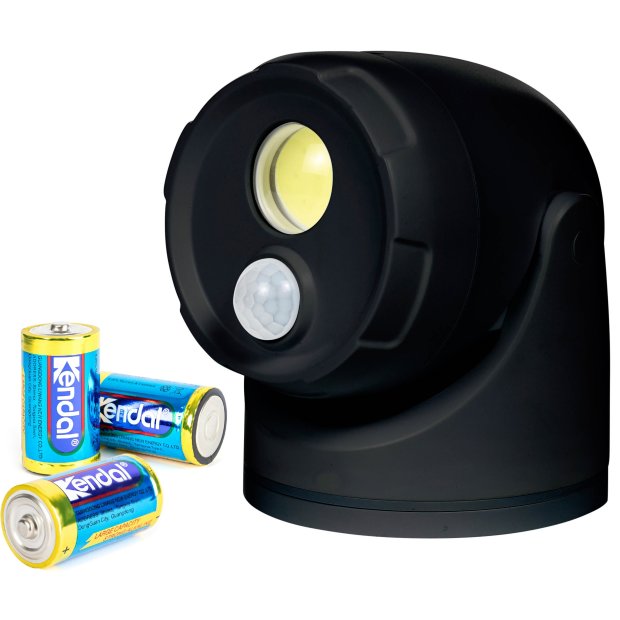 Northpoint LED Batterie Spot Strahler Flutlicht mit Bewegungsmelder und Erdspieß 5000K neutralweiß 450 Lumen integrierter Timer inkl. D-Batterien (Schwarz)