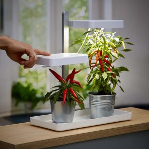 LED Pflanzenlampe Pflanzenleuchte Gewächslampe Pflanzenlicht 30W Grow Kräutergarten Timerfuntion