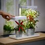 LED Pflanzenlampe Pflanzenleuchte Gewächslampe Pflanzenlicht 30W Grow Kräutergarten Timerfuntion