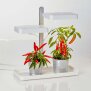 LED Pflanzenlampe Pflanzenleuchte Gewächslampe Pflanzenlicht 30W Grow Kräutergarten Timerfuntion