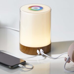 LED Tischleuchte Tischlampe in Holzoptik mit Touch-Taste Dimmfunktion Farbwechsel Ladeports