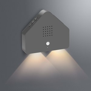 B-Ware Northpoint Naturgeräuschebox Vogel Gesang...