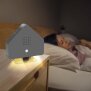B-Ware Naturgeräuschebox Vogel Gesang Vogelzwitscher Box Bewegungsmelder Vogelgeräuschen Licht