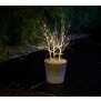 LED Sträucher Birkenoptik Weihnachtsdeko Outdoor | 3X 32 warmweiße LEDs | 85cm hoch | elastische