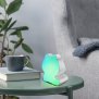 Northpoint Elektrische Funk Türklingel Glocke für Hunde und Katzen mit 1200mAh Akku Bewegungsmelder Wiederaufladbar Wasserdicht