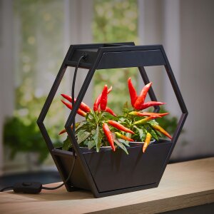 Design LED Pflanzenlampe Pflanzenleuchte Kräutergarten Innengarten Gewächslampe Metallgestell 12W