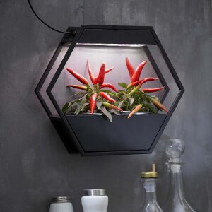Design LED Pflanzenlampe Pflanzenleuchte Kräutergarten Innengarten Gewächslampe Metallgestell 12W
