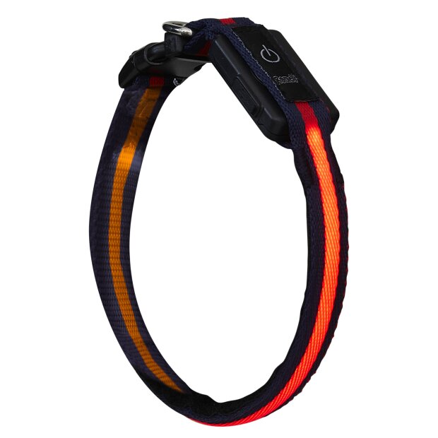 LED Hundehalsband in Größe XS in Schwarz Rot mit Akku und Blinkfunktion 3-6 - Textil XS Schwarz Rot