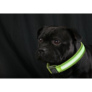 LED Hundehalsband in Größe M in Gelb mit Akku und Blinkfunktion 3-6 Stunden in - Textil M Gelb