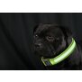 LED Hundehalsband in Größe M in Gelb mit Akku und Blinkfunktion 3-6 Stunden in - Textil M Gelb