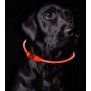 Northpoint LED Leuchtband für Hunde in Rot Hundehalsband mit integrietem Akku Betriebslaufzeit 3-6 Sunden mit Blinkfunktion