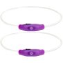 LED Hundehalsband Leuchtband für Hunde in Lila mit integrietem Akku Betriebslaufzeit 3-6 - 2x Lila
