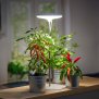 B-Ware Northpoint LED Pflanzenleuchte Pflanzenlicht Pflanzenlampe 14W mit Teleskopstab und Standfuß 4000K Lichtfarbe