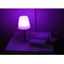 B-Ware Northpoint LED Tischlampe Tischleuchte Dimmbar 30cm hoch Wiederaufladbarer 4400mAh Akku Edelstahl Standfuß mit Farbwechselfunktion Wasserfest