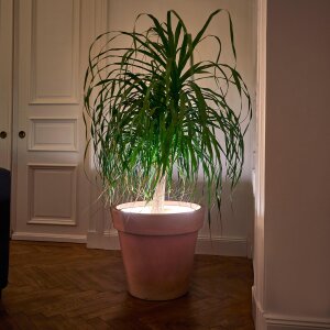 B-Ware LED Pflanzenlampe Pflanzenbeleuchtung LED Schlauch Topfbeleuchtung indirekte Beleuchtung