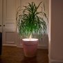 B-Ware Northpoint LED Pflanzenlampe Pflanzenbeleuchtung LED Schlauch Topfbeleuchtung indirekte Beleuchtung Streifen mit Akku