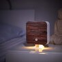 Naturgeräuschebox Vogel Gesang Vogelzwitscher Box Bewegungsmelder - Nussbaumholz / Cube