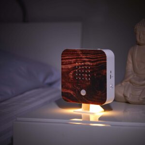 Naturgeräuschebox Vogel Gesang Vogelzwitscher Box Bewegungsmelder - Geflammtes Holz / Cube