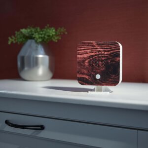 Naturgeräuschebox Vogel Gesang Vogelzwitscher Box Bewegungsmelder - Geflammtes Holz / Cube