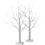 Northpoint LED Lichtbaum Weihnachtsdeko In- & Outdoor | elastische Zweige | Timerfunktion 60cm Birke 2er-Set