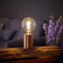 Northpoint LED Eddison Lampe Akku Design Tischlampe mit Glühdraht 2000mAh dimmbar Roségold klare Birne