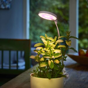 LED Pflanzenleuchte Gewächslampe mit Klipphalterung für Töpfe Timerfunktion Helligkeitseinstellung