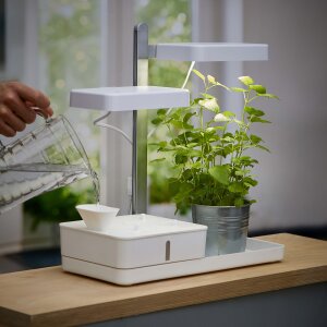 B-Ware LED Pflanzenlampe Pflanzenleuchte Gewächslampe Pflanzenlicht 30W Grow Kräutergarten