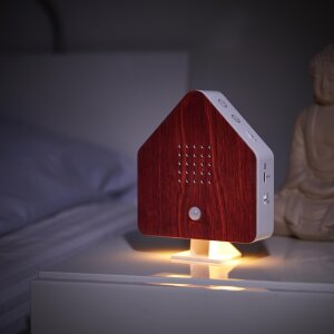 B-Ware Naturgeräuschebox Vogel Gesang Vogelzwitscher Box Bewegungsmelder Vogelgeräusche Licht
