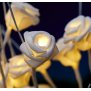 B-Ware LED Pflanze Dekozweige Rosenzweige Rosenblüten Lichterzweige Dekoration 54cm hoch Timerfunktion inkl. Batterien 20 warmweiße LED