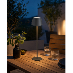 3in1 LED Tischlampe Flaschenleuchte in Grau max. 45cm...