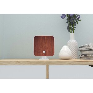 Naturgeräuschebox Vogel Gesang Vogelzwitscher Box Bewegungsmelder Vogelgeräusche - Kirschholz / Cube